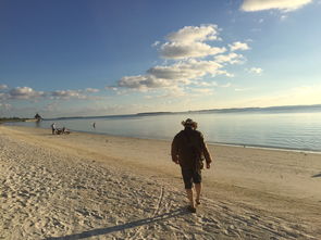 我们看海去读书笔记好词好句，我们看海去阅读题及答案