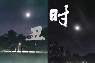 尺壁寸阴成语，尺壁寸阴的动物