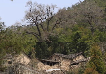 中国古代什么时候开始分官田和民田