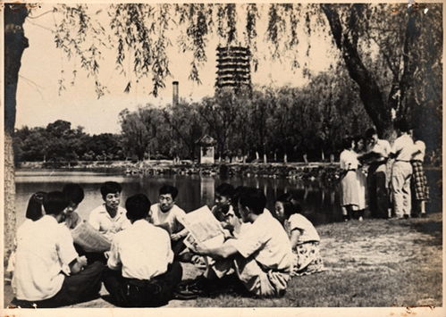 立宪派，立宪主义