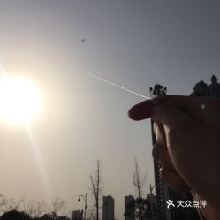 杨花点点是离人泪，点点是离人泪,的作者是