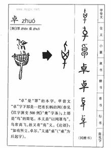 卓读音是什么，桌读音