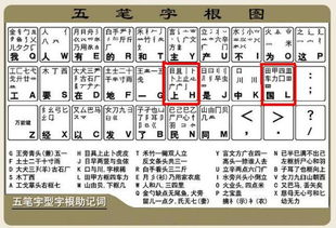 西的五笔怎么打