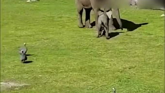 无冬无夏代表什么生肖，无冬无夏怎么解释