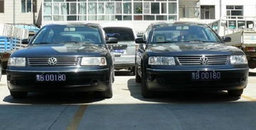 套牌车是什么意思