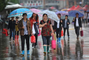 盘点高考镇陪读家长最后生活,有人跳鬼步舞撒欢,有人打工谋生,你怎么看