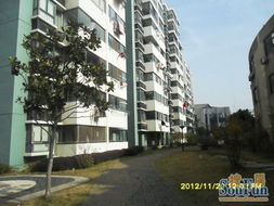 葑是什么意思，葑田