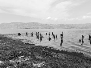 荒芜的意思_荒芜的反义词