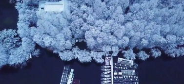 层林浸染的意思，秋色浸染的意思