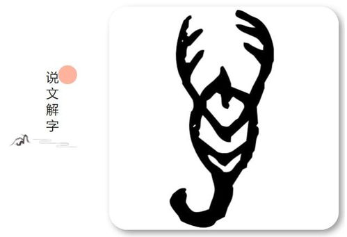 云字是由什么演变过来的?