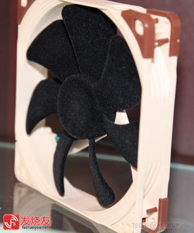 flocked to 和flocked into 和flocked in的区别?