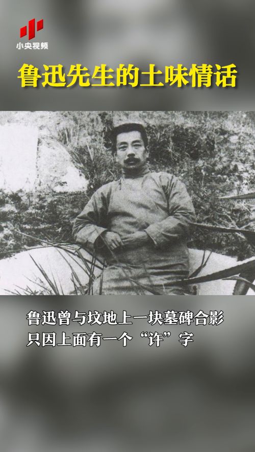 目不斜视的拼音