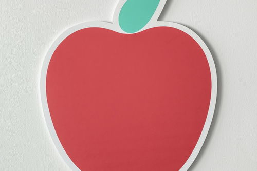 繁文缛节的拼音怎么读音写，繁文缛节读音