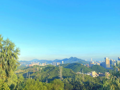 深圳地铁9号线尖岗山规划有可能实现吗