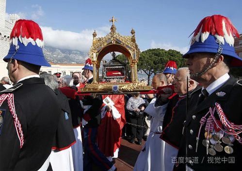 devote的用法搭配，devote的用法致力于