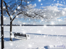 漫天飞舞的意思