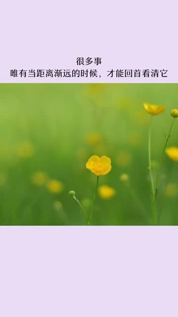 “合适”和“适合”的意思有什么不同?