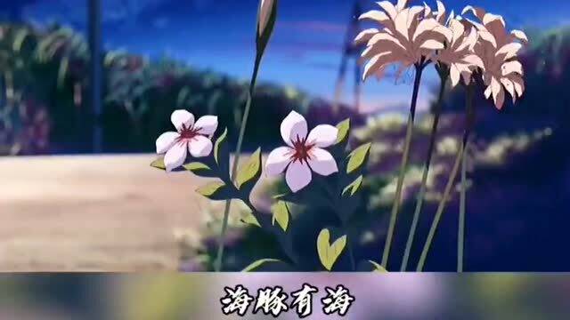 适合情侣玩的手游，适合女生学的专业