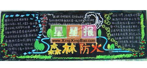 高中森林防火黑板报版面设计
