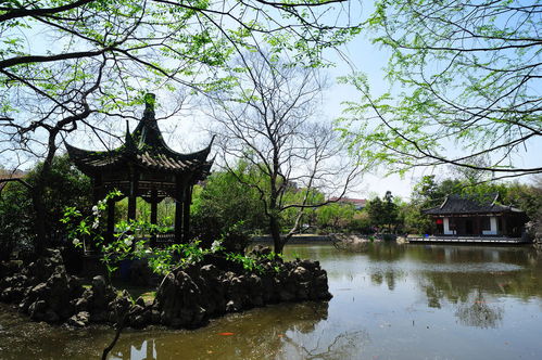 莫愁湖公园介绍 很漂亮的一个地方