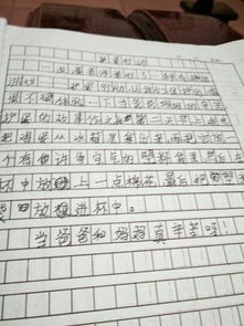 护蛋行动作文500字优秀，护蛋行动作文怎么写