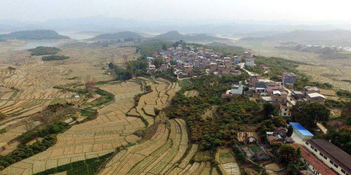 右江区天气预报一周7天，右江区天气预报40天查询