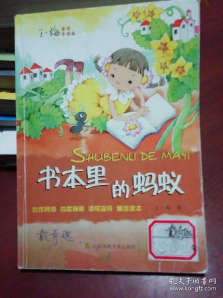 书本里的蚂蚁手抄报图片，书本里的蚂蚁读后感50字