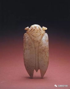 玉蝉酒厂简介，玉蝉酒业集团官网