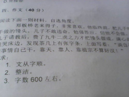 答案作文600字初三议论文，青春的答案作文600字