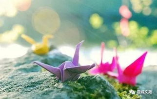 渔唱起三更更的读音，渔唱起三更翻译