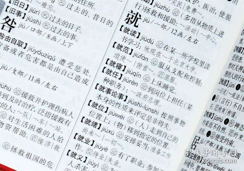 老的反义词是什么