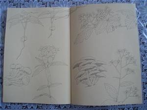 环衬和扉页的区别，环衬页是指书的哪一页