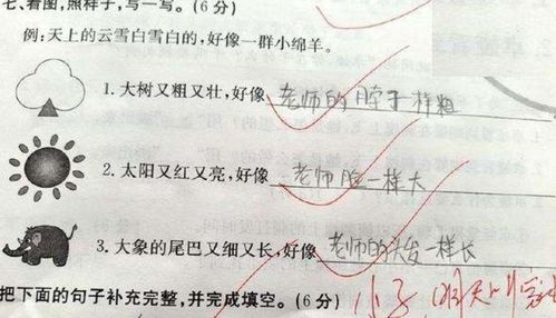 递造句组词，递造句一年级