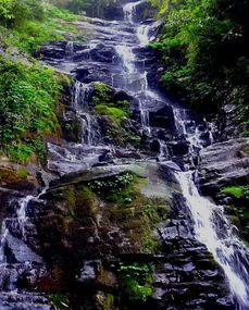 《汉中·南郑县·仙女洞》陕西名胜简介