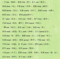 律的拼音，遵守纪律的拼音