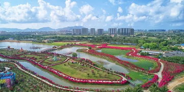 花镇官网，肖花镇