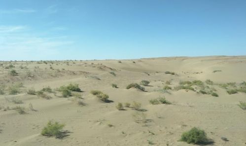 戈壁滩是什么意思，戈壁滩在新疆哪里