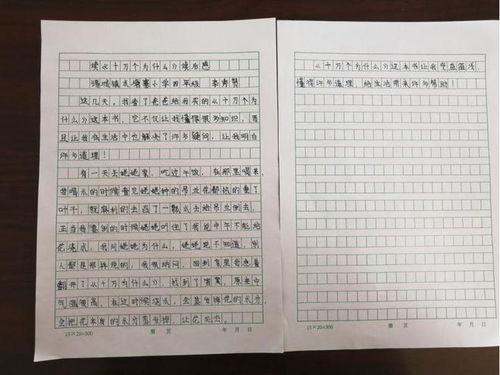 小学生读后感400字范文【十篇】