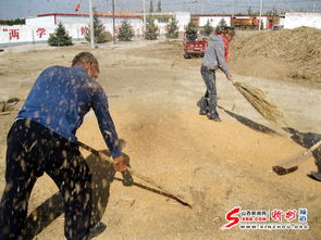 打场是什么意思