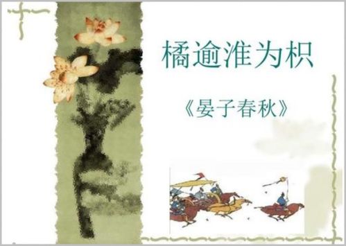 橘逾淮为枳说明了什么哲学原理，橘逾淮为枳说明了事物的发展变化