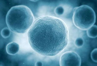 高中生物学中T细胞知识