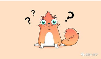 ki七七y是什么意思