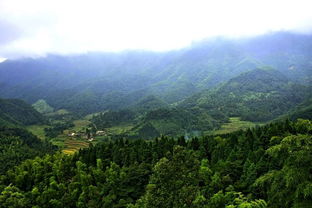 岗山天气预报15天，岗山村南站