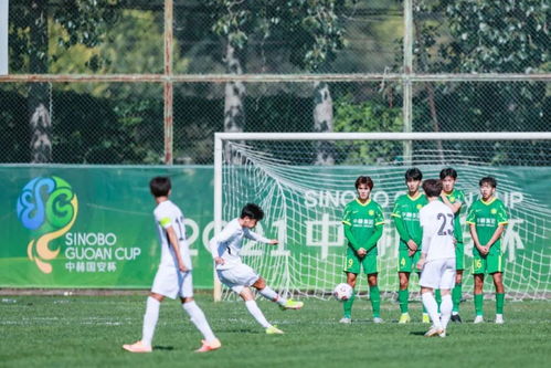 北京国安足球俱乐部股东，北京国安足球俱乐部成立时间