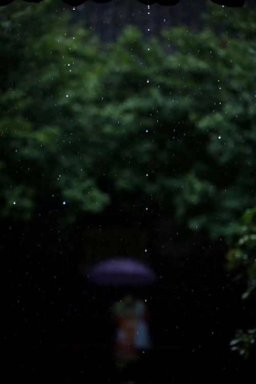 悲欢离合总无情。一任阶前、点滴到天明。原文_翻译及赏析