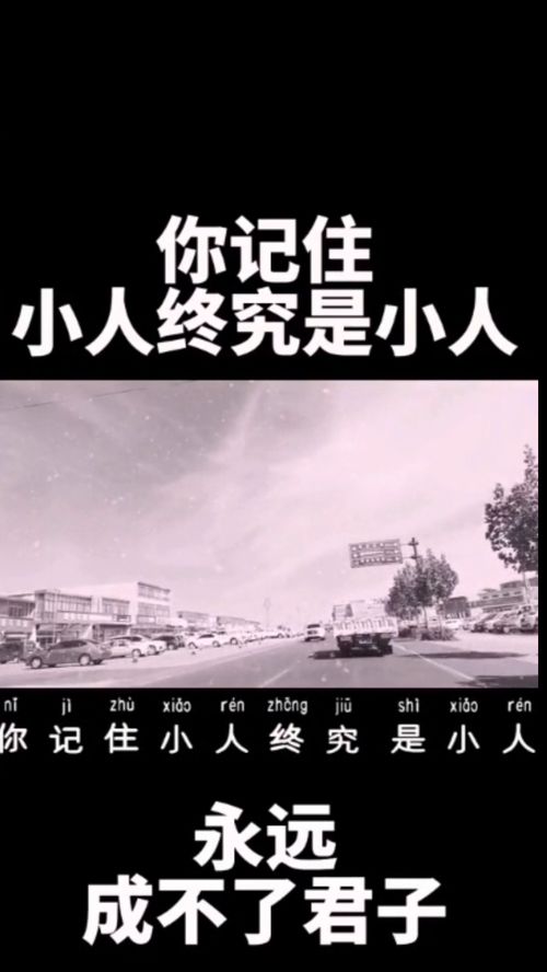 我是坏蛋或者我是傻瓜英文怎么说