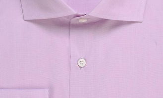 襟飘带舞什么意思，襟翼