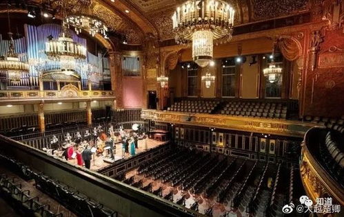 铂程斋喷嚏图卦8小时，铂程斋喷嚏图卦主页