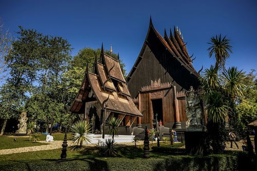 道教中的神仙有哪些