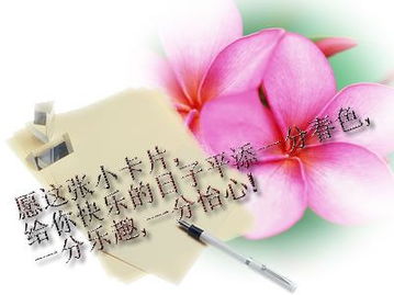 无言的爱小说，无言的爱作文600字记叙文